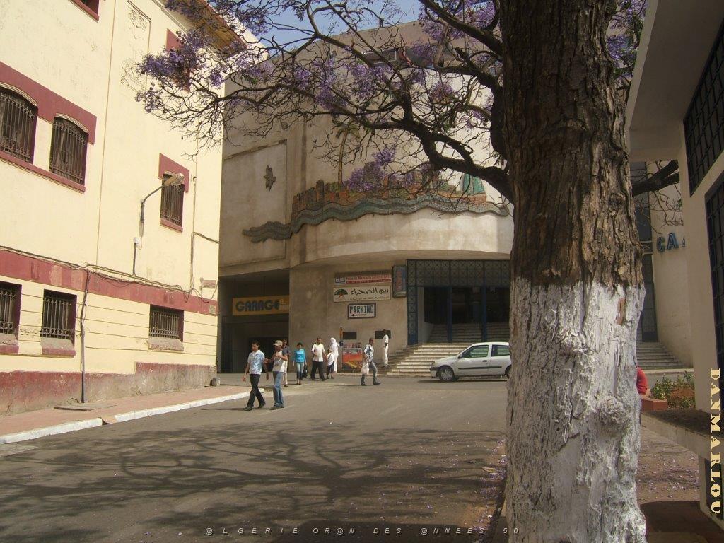 oran 277.jpg